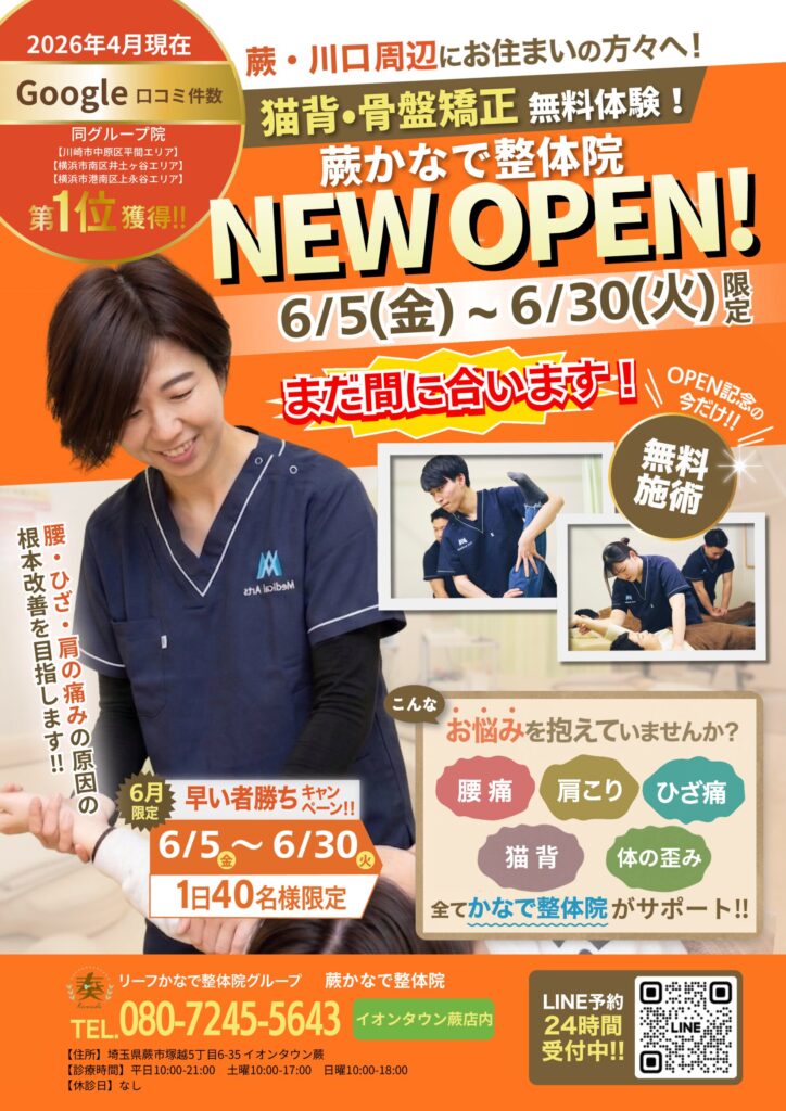 オープンチラシ無料体験